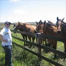 Wayne inspecting yearlings at Rosemont Stud